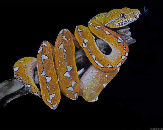 Python Snake Painting By Numberss.png