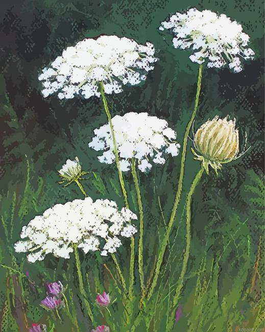 Queen Annes Lace Art Print By Lisa Kretchman Painting By Numberss.png