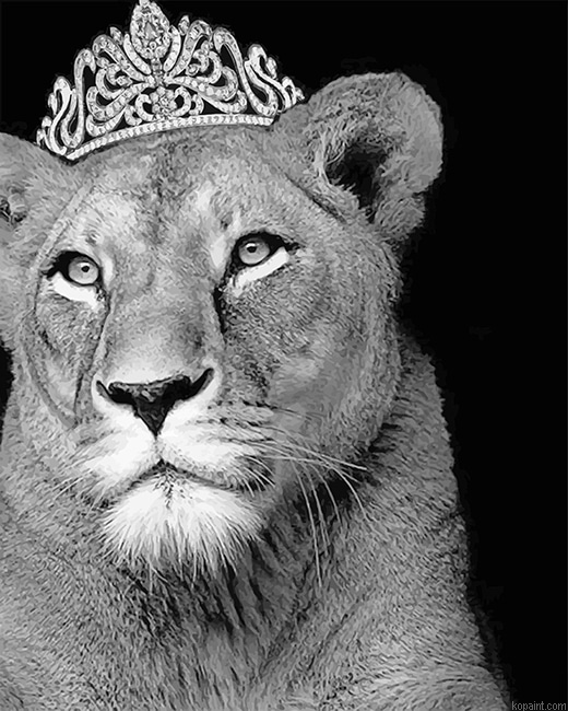 Queen Lioness New Painting By Numberss.png