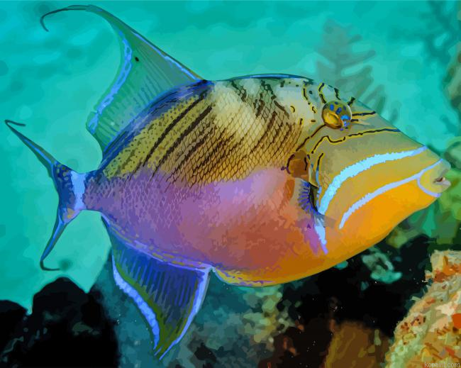 Queen Triggerfish Paint By Numbers