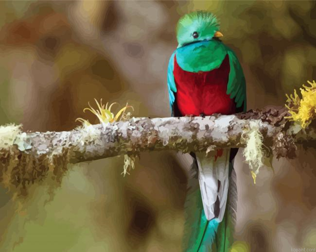 Quetzal Bird On A Branch Painting By Numberss.png