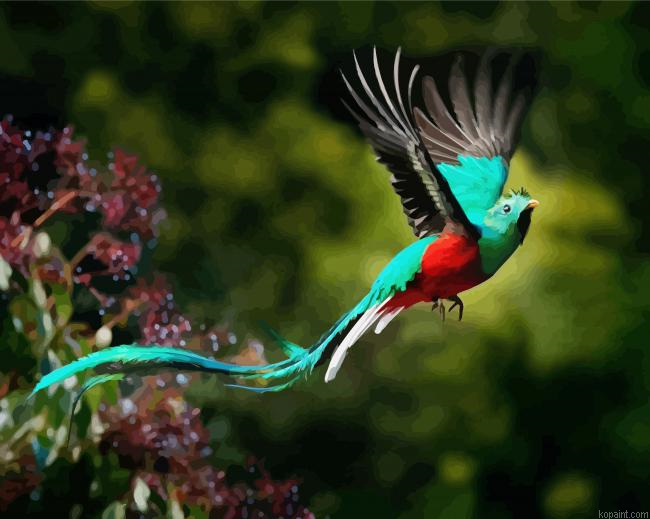 Quetzal Flying Bird Painting By Numberss.png
