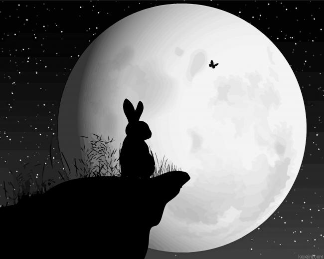 Rabbit And The Moon Painting By Numberss.png