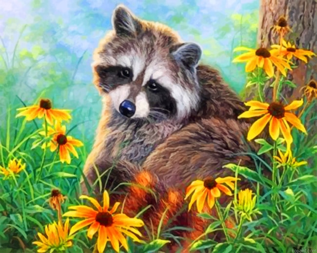 Raccoon Animals Painting By Numberss.png