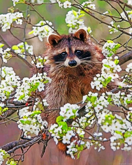 Raccoon In Blossoms Painting By Numberss.png