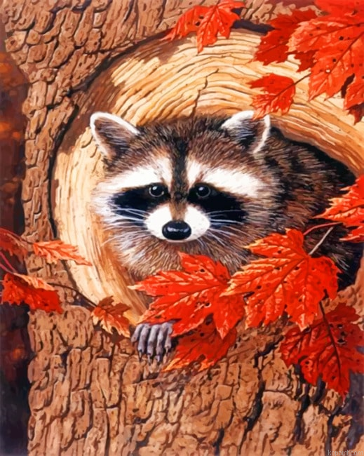 Raccoon In The Fall Animals Painting By Numberss.png