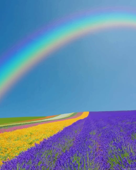 Rainbow In Lavender Field New Painting By Numberss.png