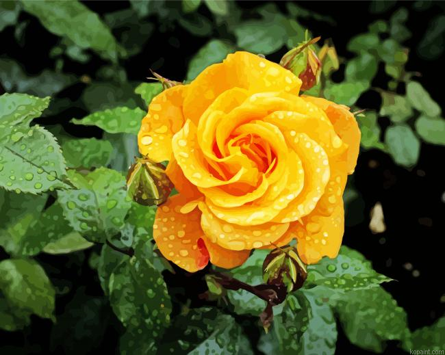 Raindrop Yelllow Rose Painting By Numberss.png