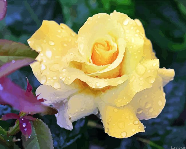 Raindrops Yellow Rose Painting By Numberss.png