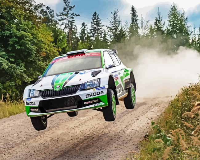 Rally Racing Painting By Numberss.png