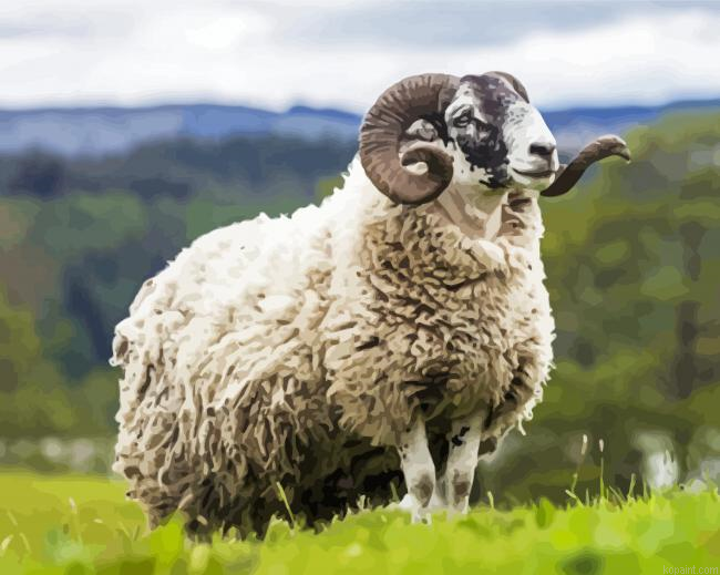 Ram Sheep Painting By Numberss.png