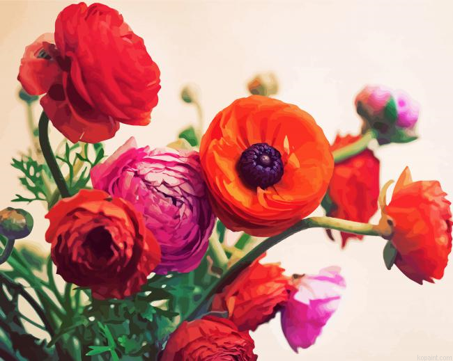 Ranunculus Flowers Painting By Numberss.png