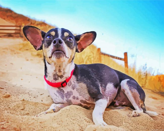 Rat Terrier At The Top Of A Hill Painting By Numberss.png