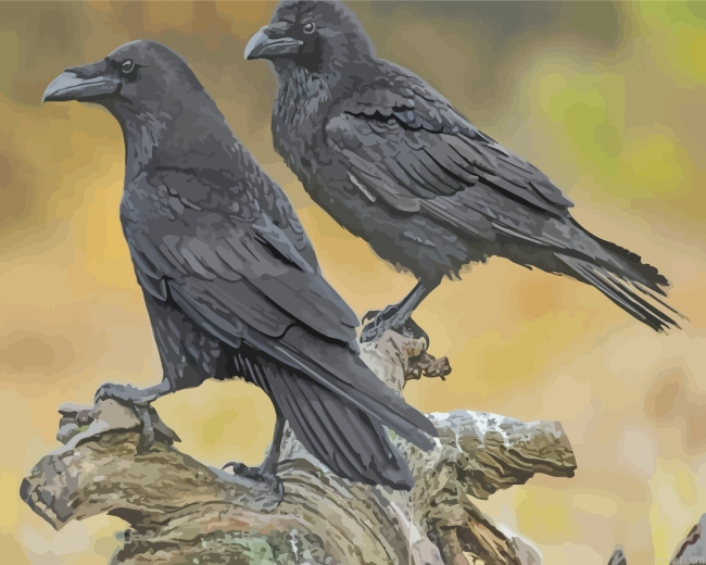 Ravens Birds Painting By Numberss.png