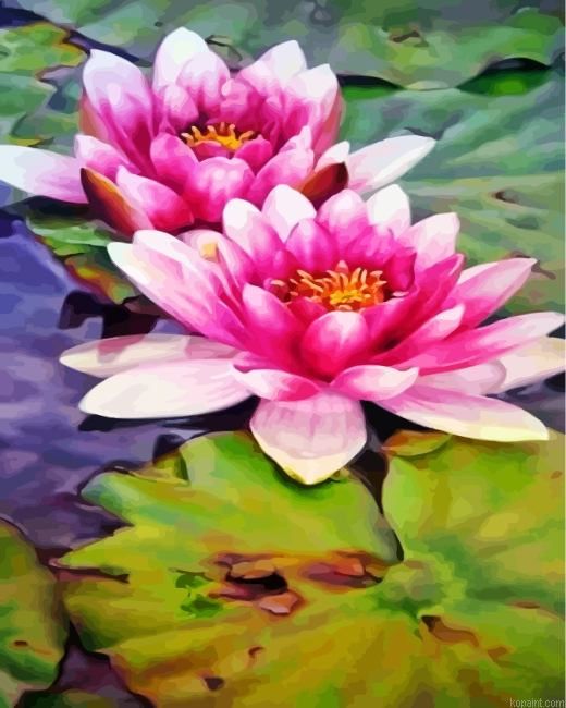 Realistic Water Lilies Paint By Numbers