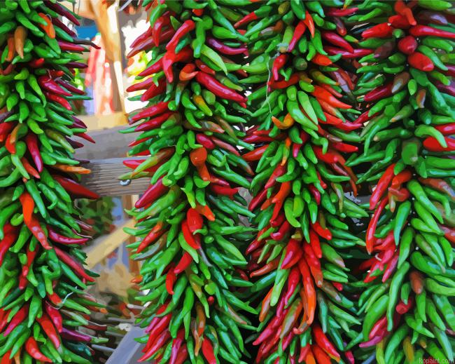 Red And Green Ristra Painting By Numberss.png