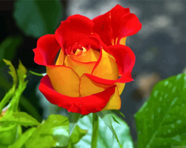 Red And Yellow Floribunda Painting By Numberss.png