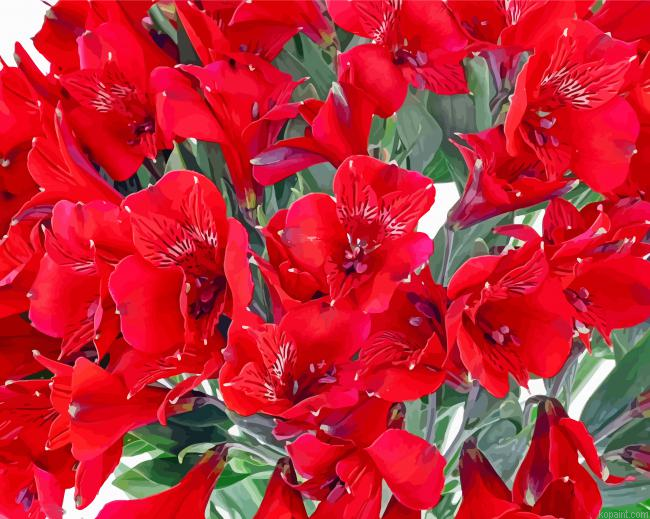 Red Astromelias Plants Painting By Numberss.png