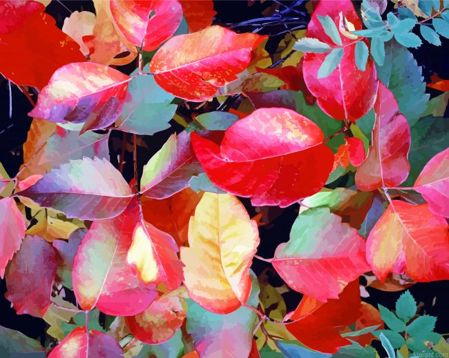 Red Autumn Leaves Poison Ivy Painting By Numberss.png