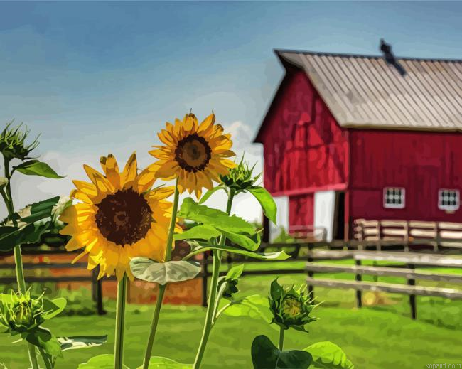 Red Barn And Beautiful Sunflowers Painting By Numberss.png