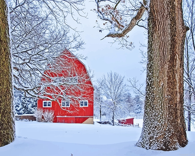 Red Barn Snow New Painting By Numberss.png