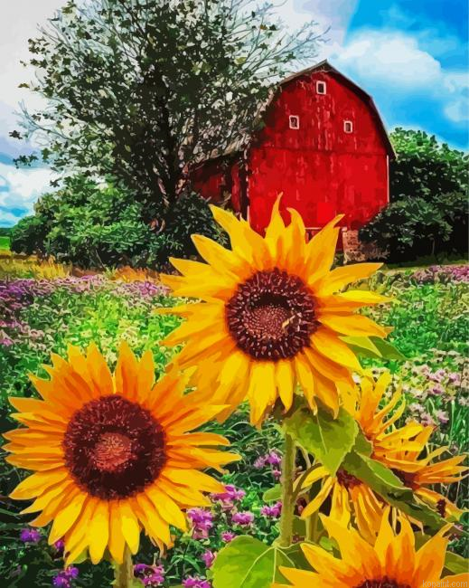 Red Barn Sunflowers Painting By Numberss.png