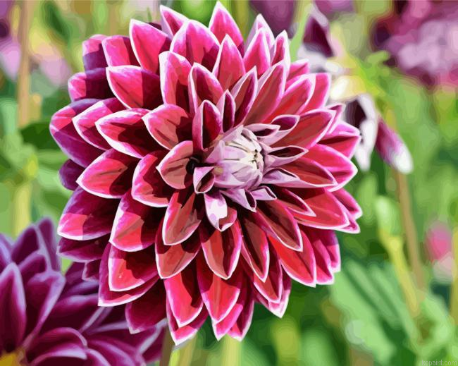 Red Blooming Dahlia Flower Painting By Numberss.png