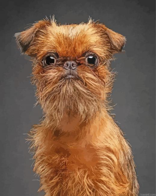 Red Brussels Griffon Paint By Numbers