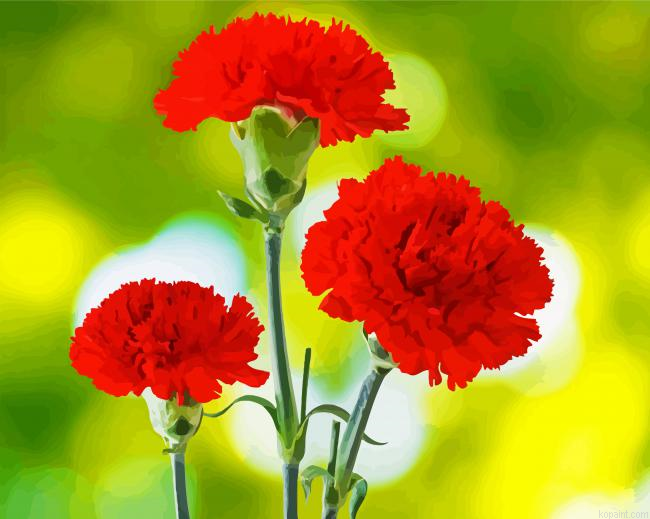 Red Carnation Flowers Paint By Numbers.png