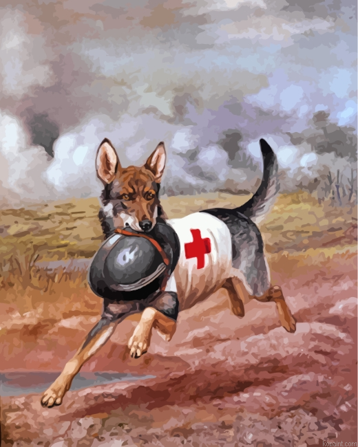 Red Cross Dog Paint By Numbers