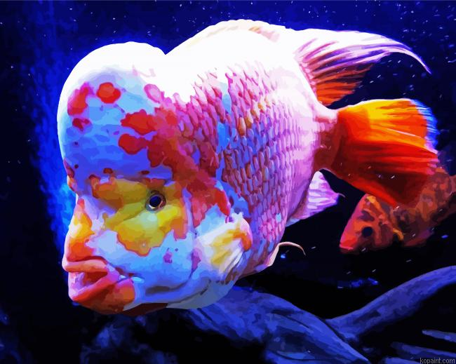 Red Devil Fish Undersea Paint By Numbers