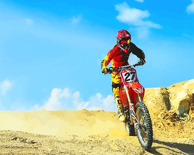Red Dirt Bike Desert New Painting By Numberss.png