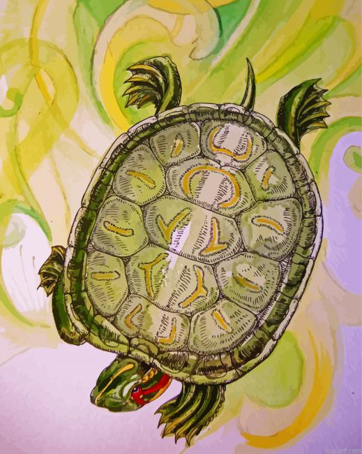 Red Eared Slider Turtle Art Painting By Numberss.png