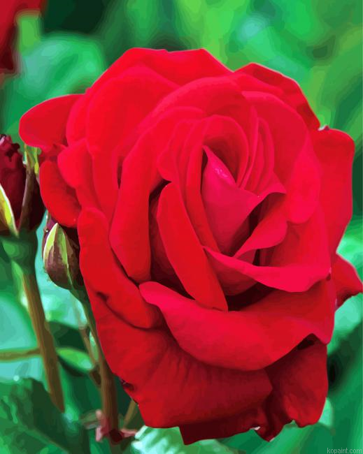 Red Floribunda Flower Painting By Numberss.png
