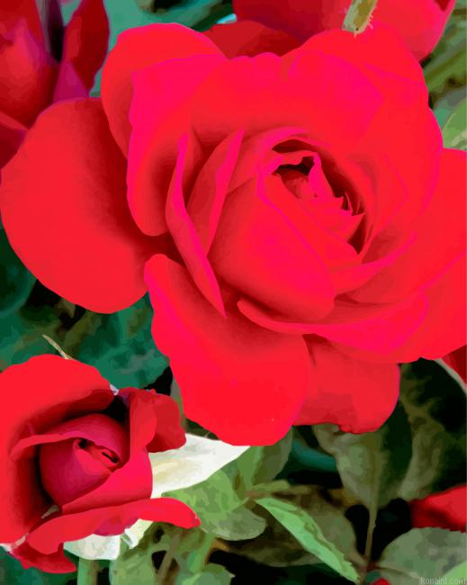 Red Floribunda Painting By Numberss.png