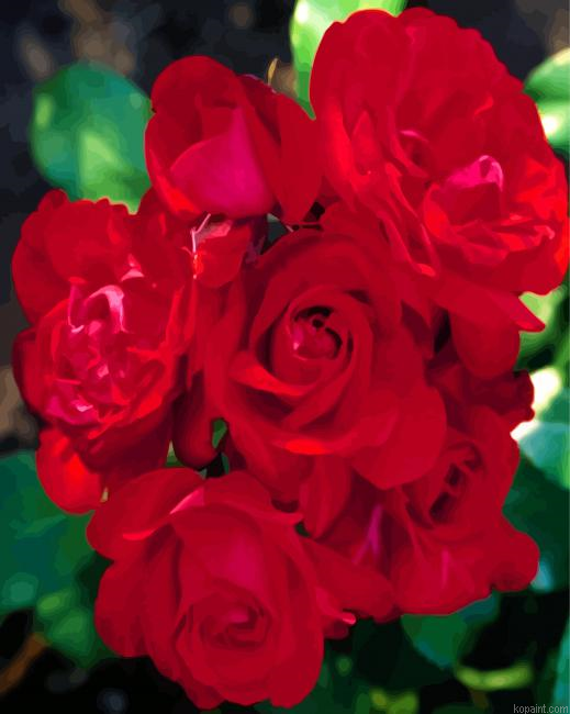 Red Floribundas Painting By Numberss.png