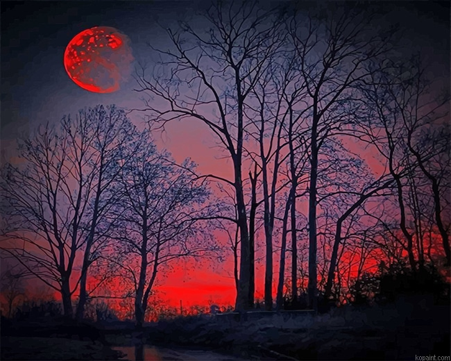 Red Forest Silhouette New Painting By Numberss.png