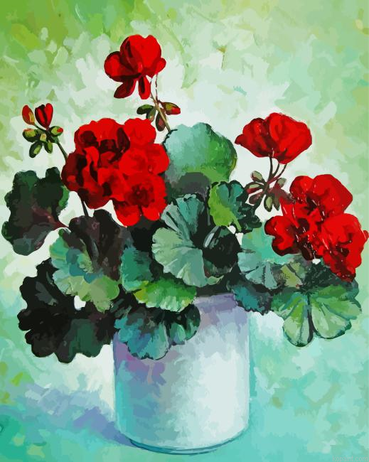 Red Geranium Vase Art Painting By Numberss.png