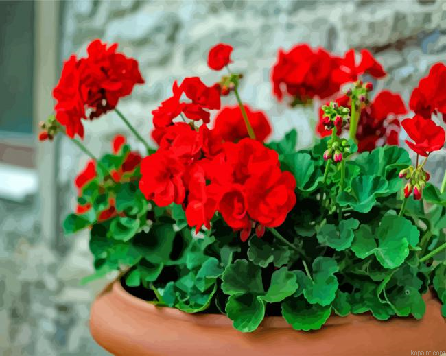 Red Geraniums Painting By Numberss.png