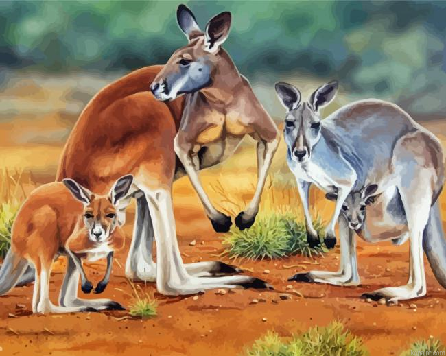 Red Kangaroos Family Painting By Numberss.png