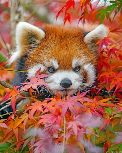 Red Panda And Leaves Painting By Numberss.png