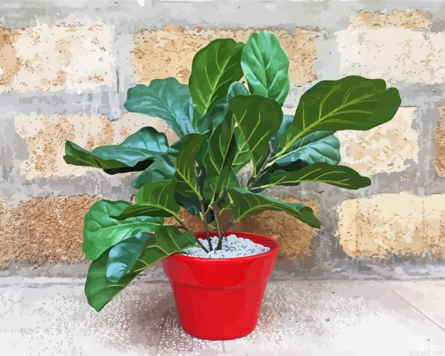 Red Plant Pot Fiddle Leaf Fig Paint By Numbers.png