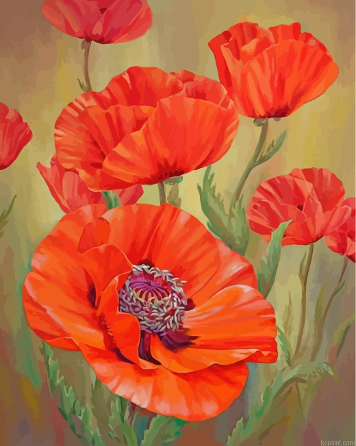 Red Poppies Painting By Numberss.png