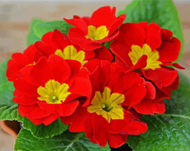 Red Primrose Painting By Numberss.png