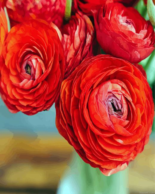 Red Ranunculus Painting By Numberss.png