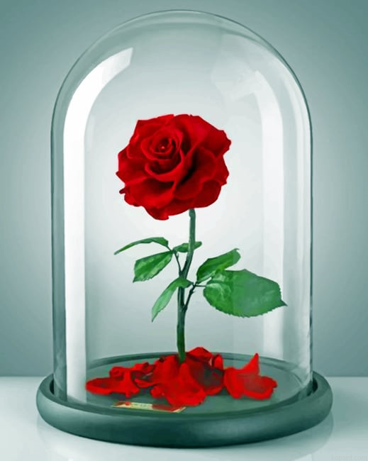 Red Rose Flowers Paint By Numbers