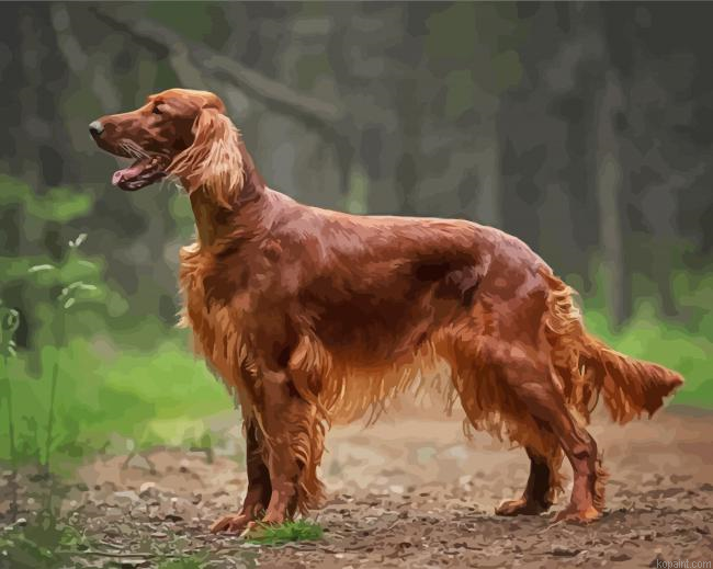 Red Setter Dog Painting By Numberss.png