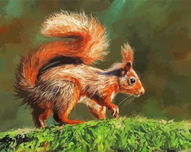 Red Squirrel On Branch Paint By Numbers.png