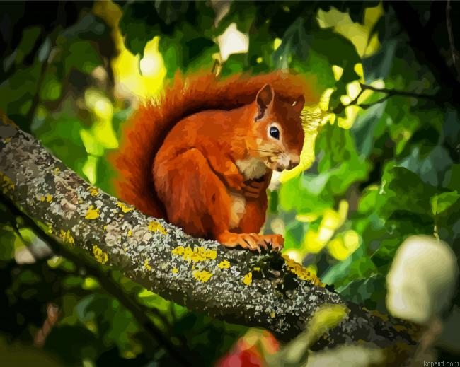 Red Squirrel On Tree Paint By Numbers.png