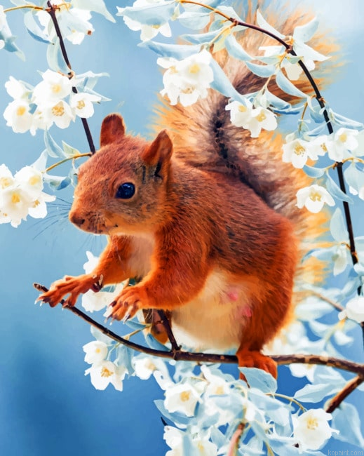 Red Squirrel With Flowers Animals Painting By Numberss.png